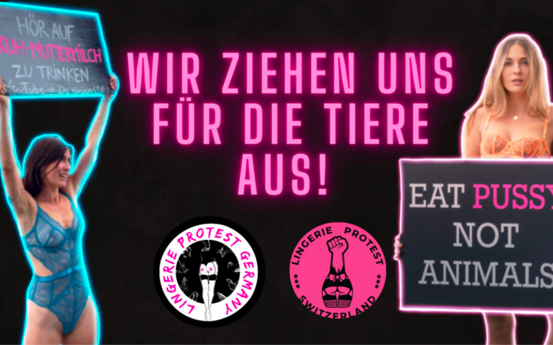 In conversation with Lingerie Protest Germany